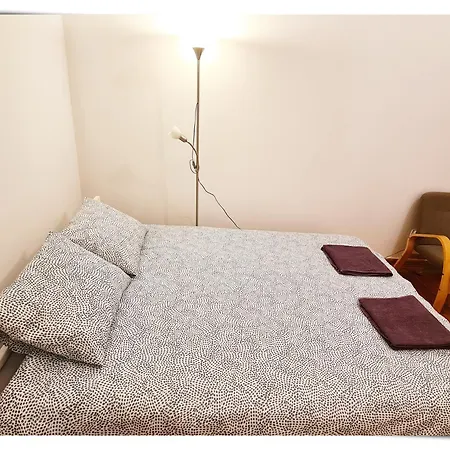 Souvenirappart Sniadeckich 45