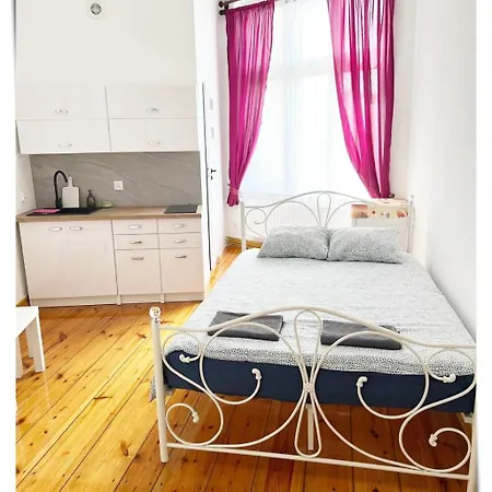 Souvenirappart Sniadeckich 45