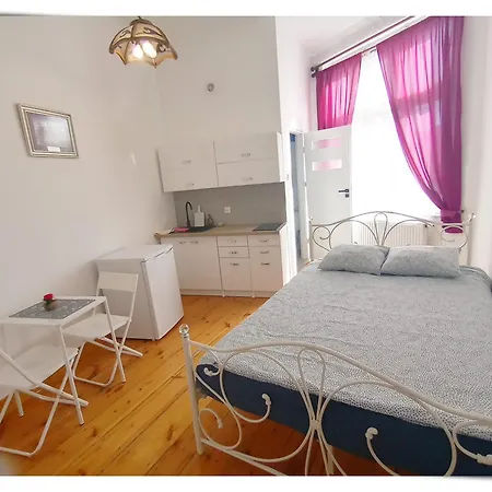 Souvenirappart Sniadeckich 45 住宿加早餐酒店