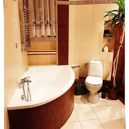 Souvenirappart Sniadeckich 45 *