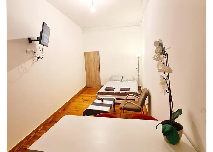 Souvenirappart Sniadeckich 45 Bed & Breakfast