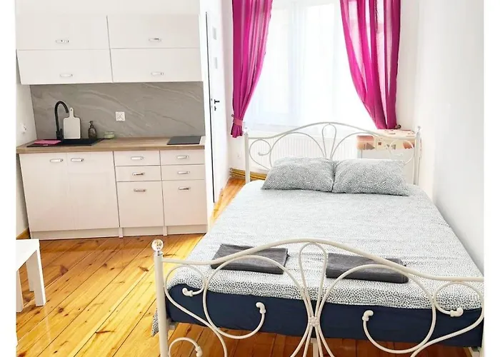 Souvenirappart Sniadeckich 45