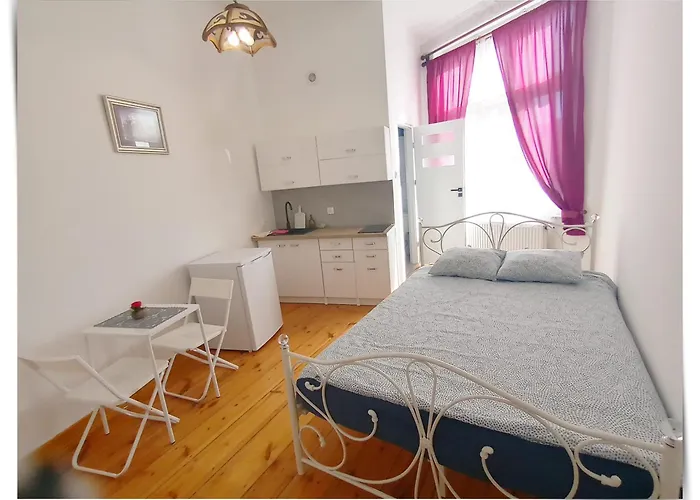 Souvenirappart Sniadeckich 45 住宿加早餐酒店