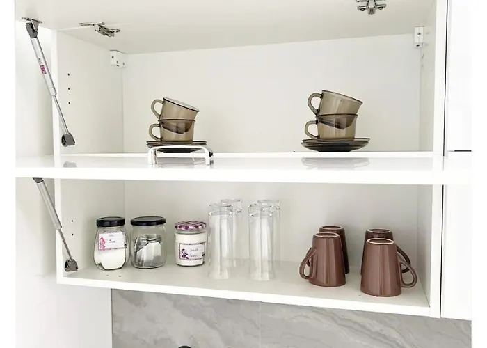 Souvenirappart Sniadeckich 45 *