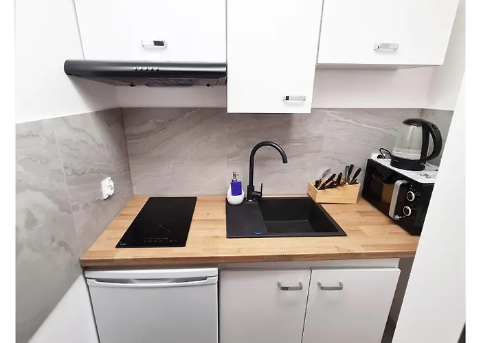 Souvenirappart Sniadeckich 45 * Bydgoszcz