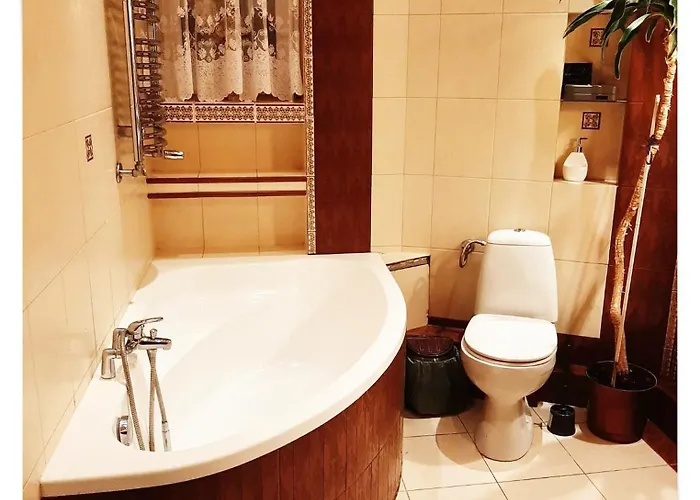 Souvenirappart Sniadeckich 45 *